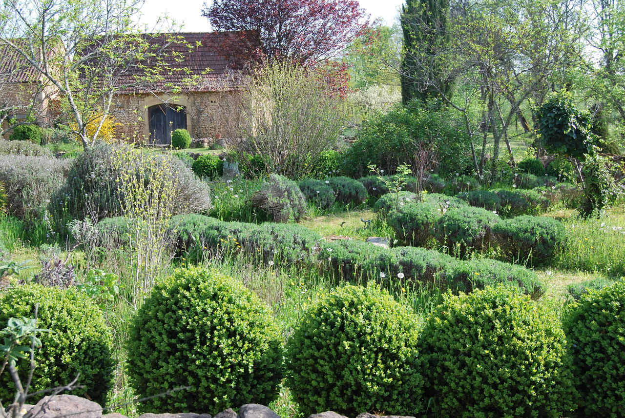 La Charmeraie Bed and Breakfast Saint-Cirq  Εξωτερικό φωτογραφία