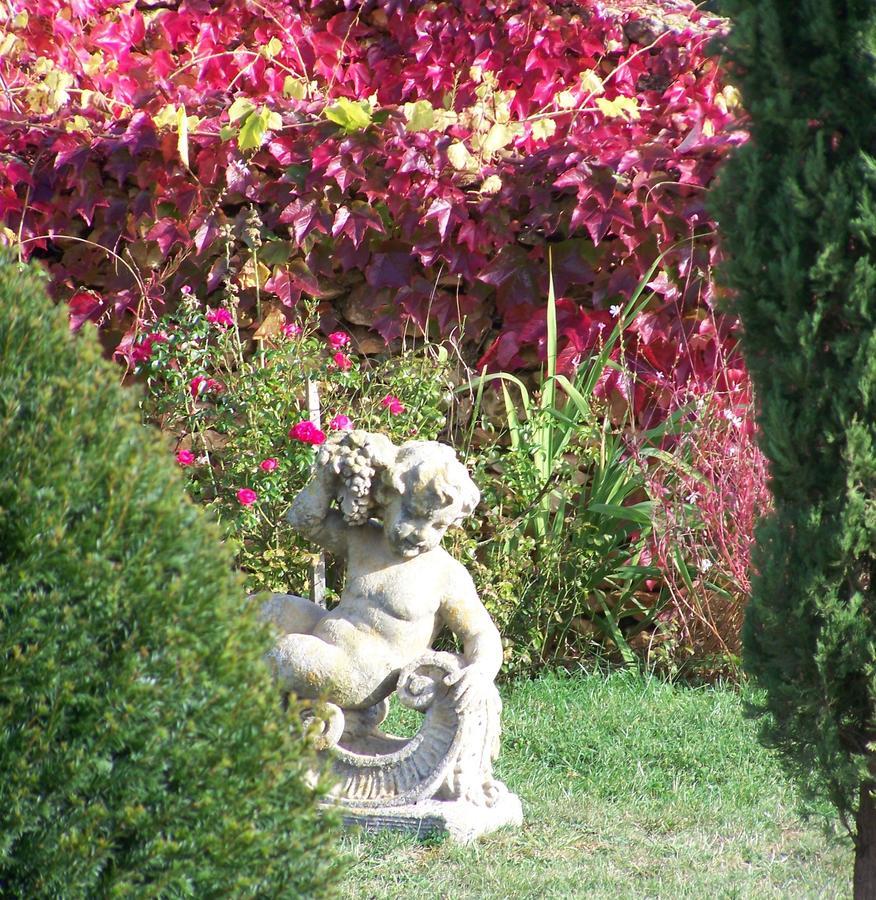 La Charmeraie Bed and Breakfast Saint-Cirq  Εξωτερικό φωτογραφία